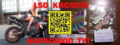 бошки Кингисепп