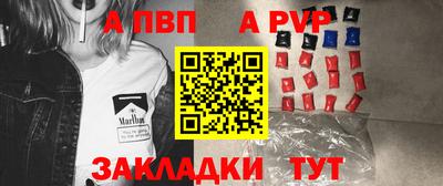 бошки Кингисепп