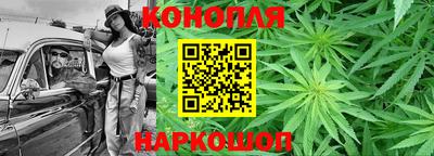 бошки Кингисепп