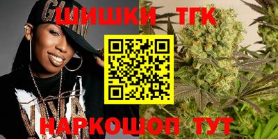 бошки Кингисепп
