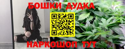 бошки Кингисепп