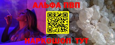 бошки Кингисепп