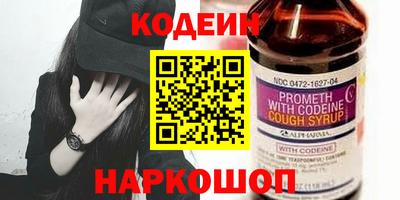 бошки Кингисепп