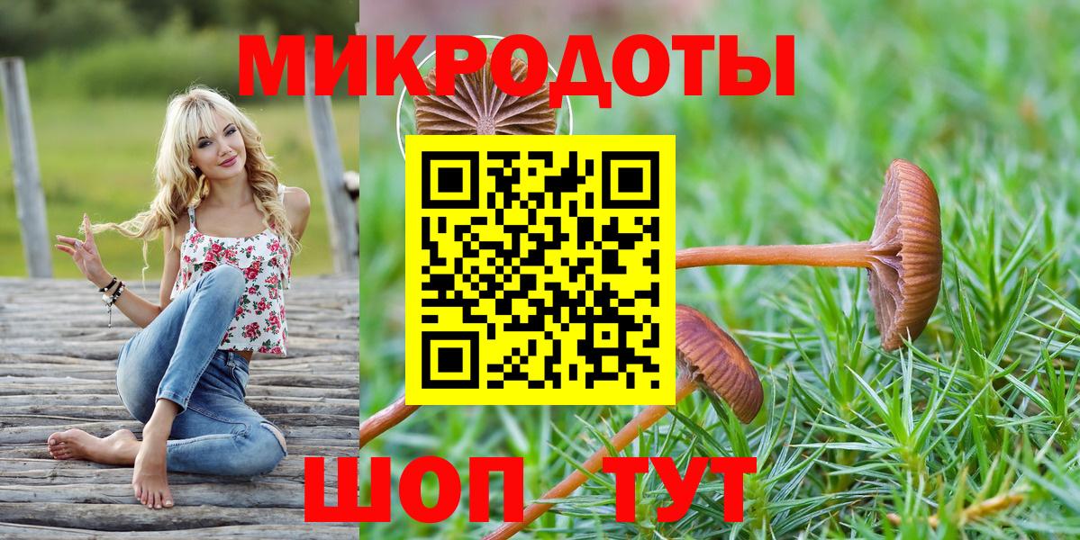 Ржев  Галлюциногенные грибы мухоморы  Вход с VPN 